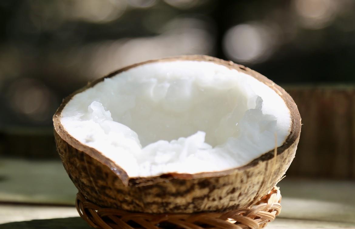 La noix de coco s&aacute;p de Cầu K&egrave;, une sp&eacute;cialit&eacute; de Tr&agrave; Vinh reconnaissable &agrave; sa chair &eacute;paisse, tendre et onctueuse, presque comme une cr&egrave;me.