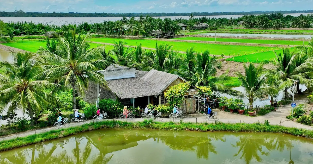 Cồn Chim, une petite &icirc;le paisible au c&oelig;ur du delta du M&eacute;kong, o&ugrave; l&rsquo;on d&eacute;couvre un Vietnam rural, simple et authentique.