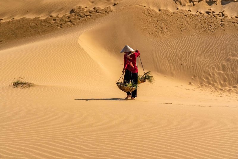 dune de sable Nam Cuong à Ninh Thuan