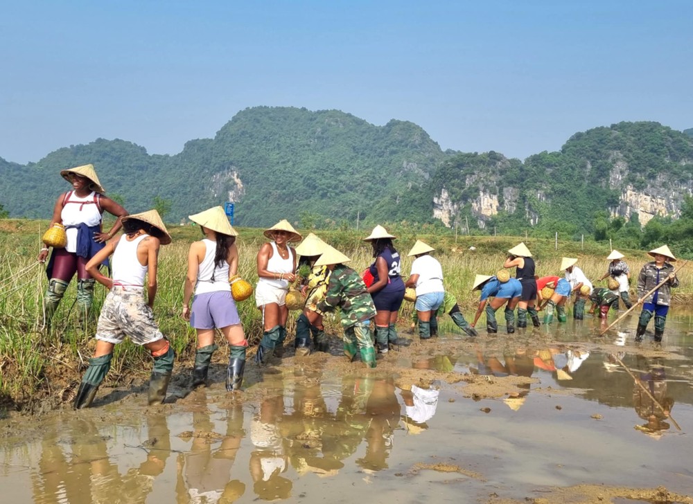 Expérience authentique dans la vie rurale vietnamienne à Ninh Binh 