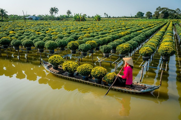 fleurs Tet Vietnam mekong
