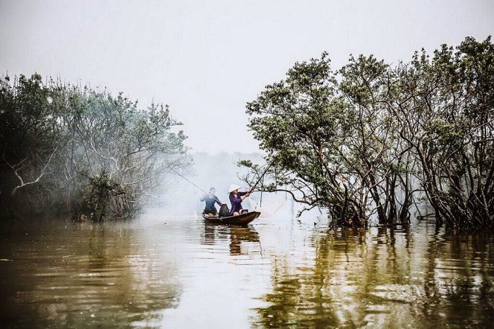 La forêt de mangrove de Ru Cha, la muse magique de Hue