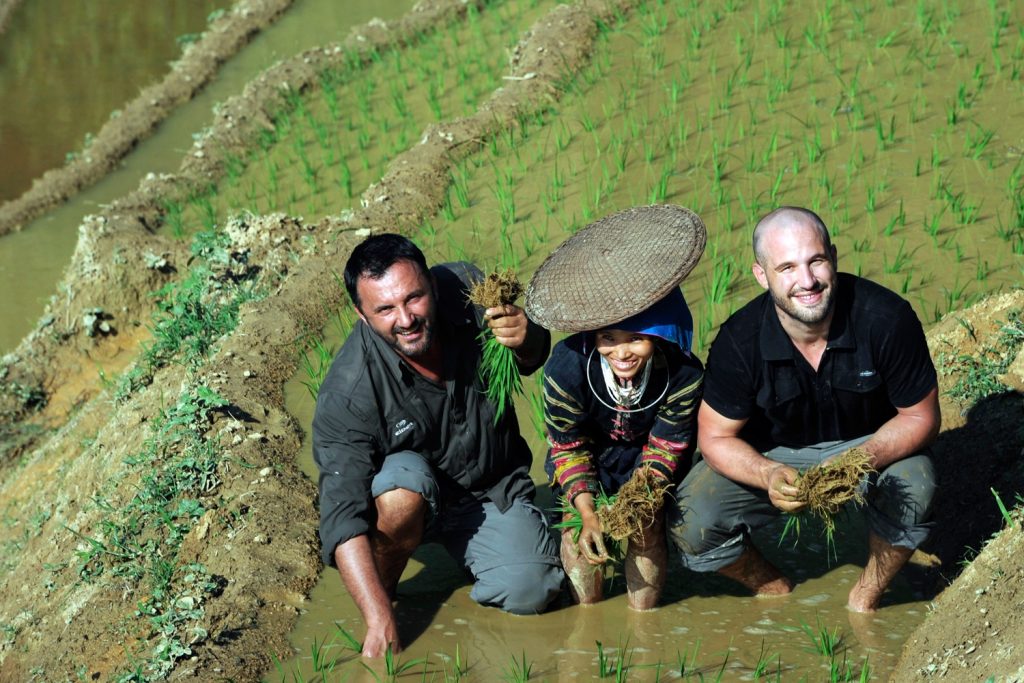 Frédéric Michalak a appris à cultiver le riz 