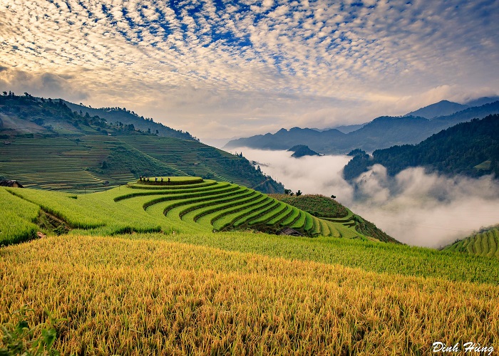 guide-voyage-vietnam-riziere-en-terrasse-vietnam