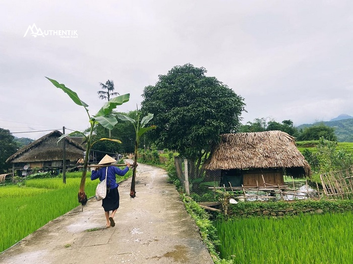 Le village Ha Thanh de Ha Giang 