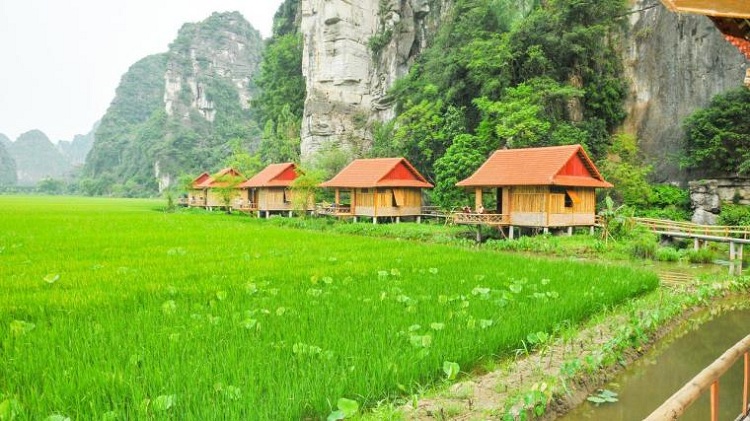 hotel a ninh binh, lotus field homestay, ou se loger à Ninh Binh, ou dormir à ninh binh, homestay à Ninh Binh