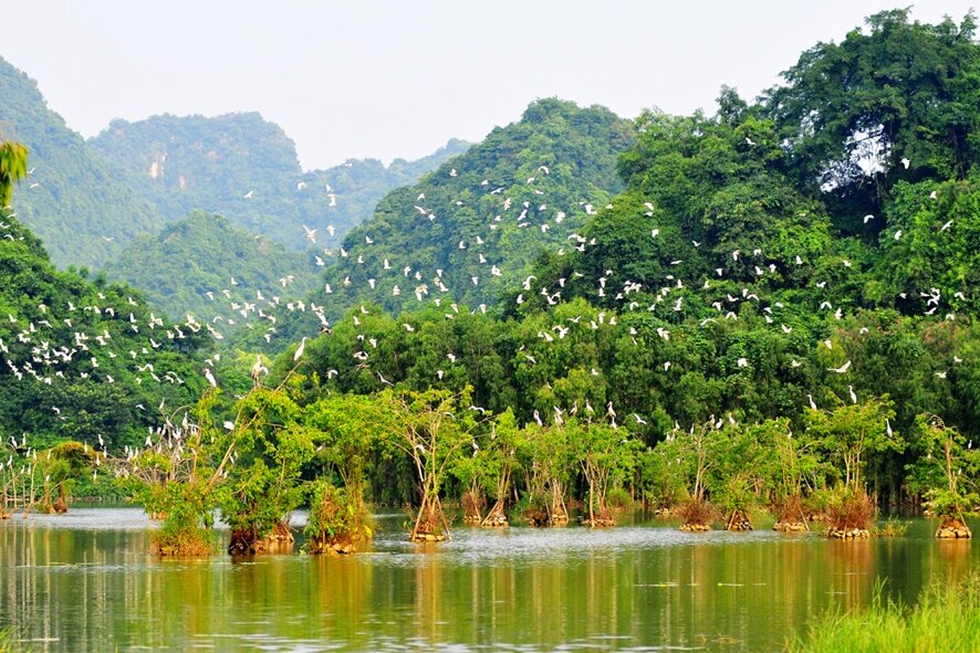 le-jardin-d’oiseaux-Thung-Nham