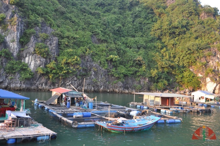 Les petites jonques en baie de Lan Ha (la plus authentique)