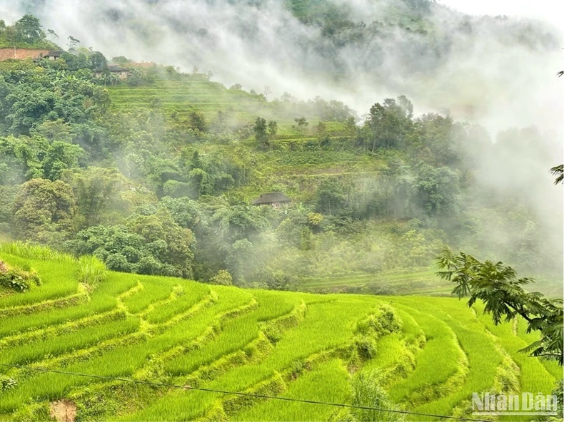 La saison des rizières mûres est le moment idéal pour attirer les visiteurs au village de Khuôi Khon.