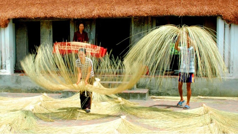 Village de tissage de carex de Kim Son à Ninh BInh