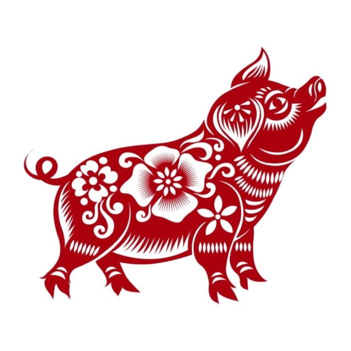 Horoscope de 12 animaux de l'année du Tigre 2022 dans la culture vietnamienne-le cochon