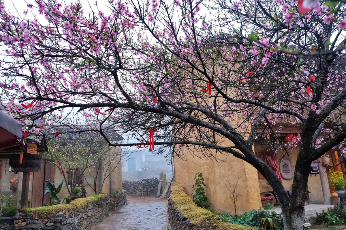 Lo Lo Chai a été reconnu comme "Village culturel et touristique" de Ha Giang. Photo : Vnexpress