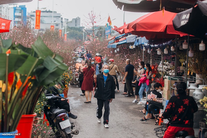 Marche fleurs Quang Ba Hanoi tet