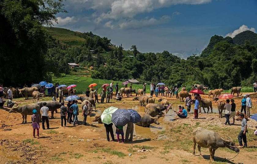 marché de Sin Cheng 