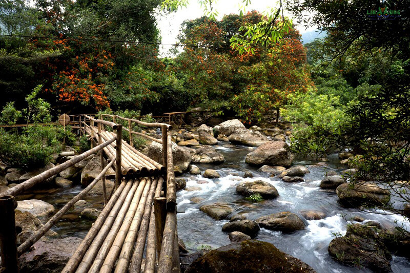 Le ruisseau Mooc offre des possibilités pittoresques pour une promenade facile et une exploration à travers son environnement naturel préservé