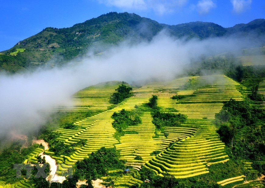 Sapa, Fansipan, météo, climat, la plus haute montagne au vietnam, toit de l'Indochine, vietnam, voyage