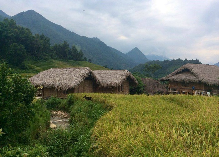 Nam Sai Sapa