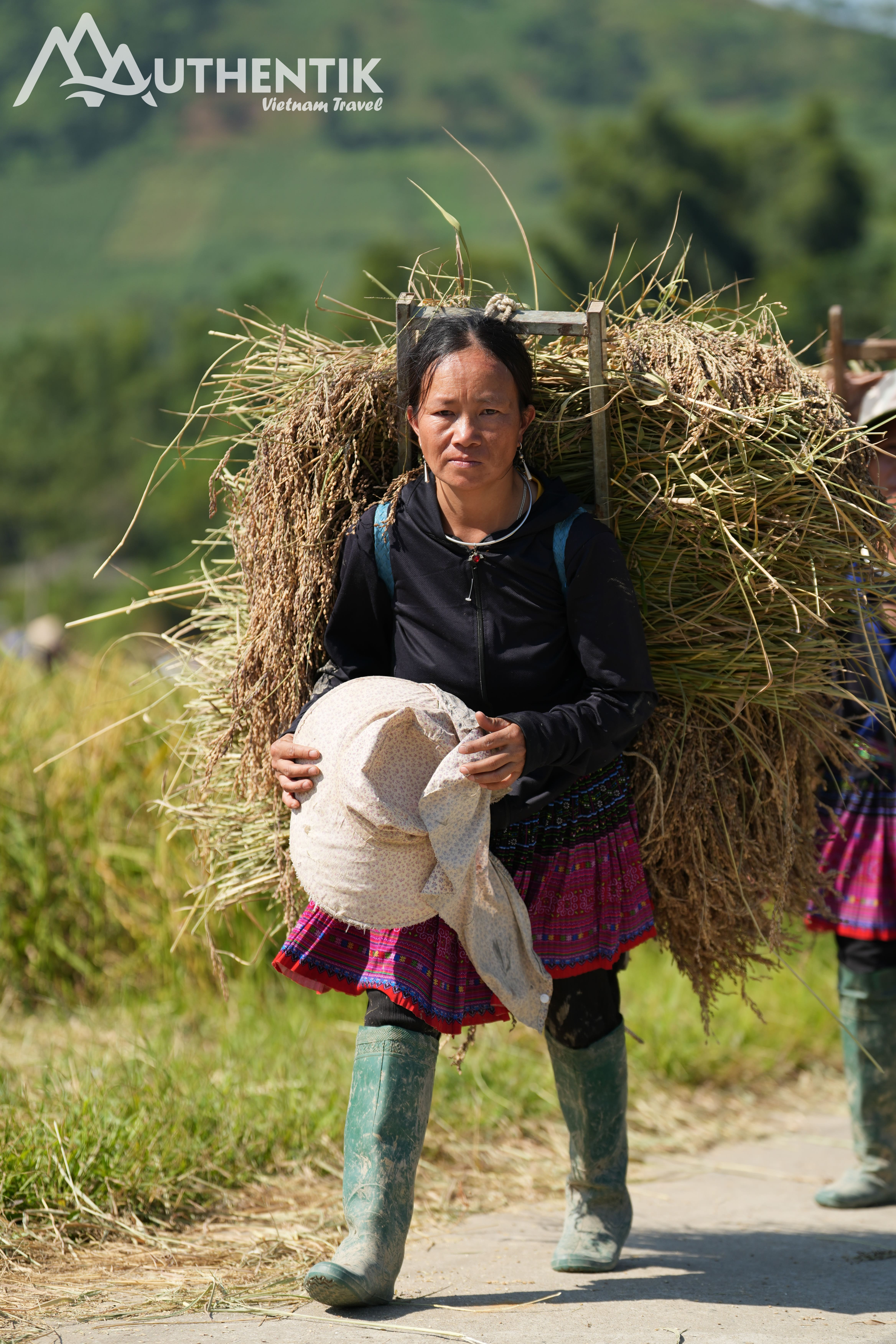En Tú Lê, la diversidad étnica es una riqueza viva. Foto: Authentik Vietnam