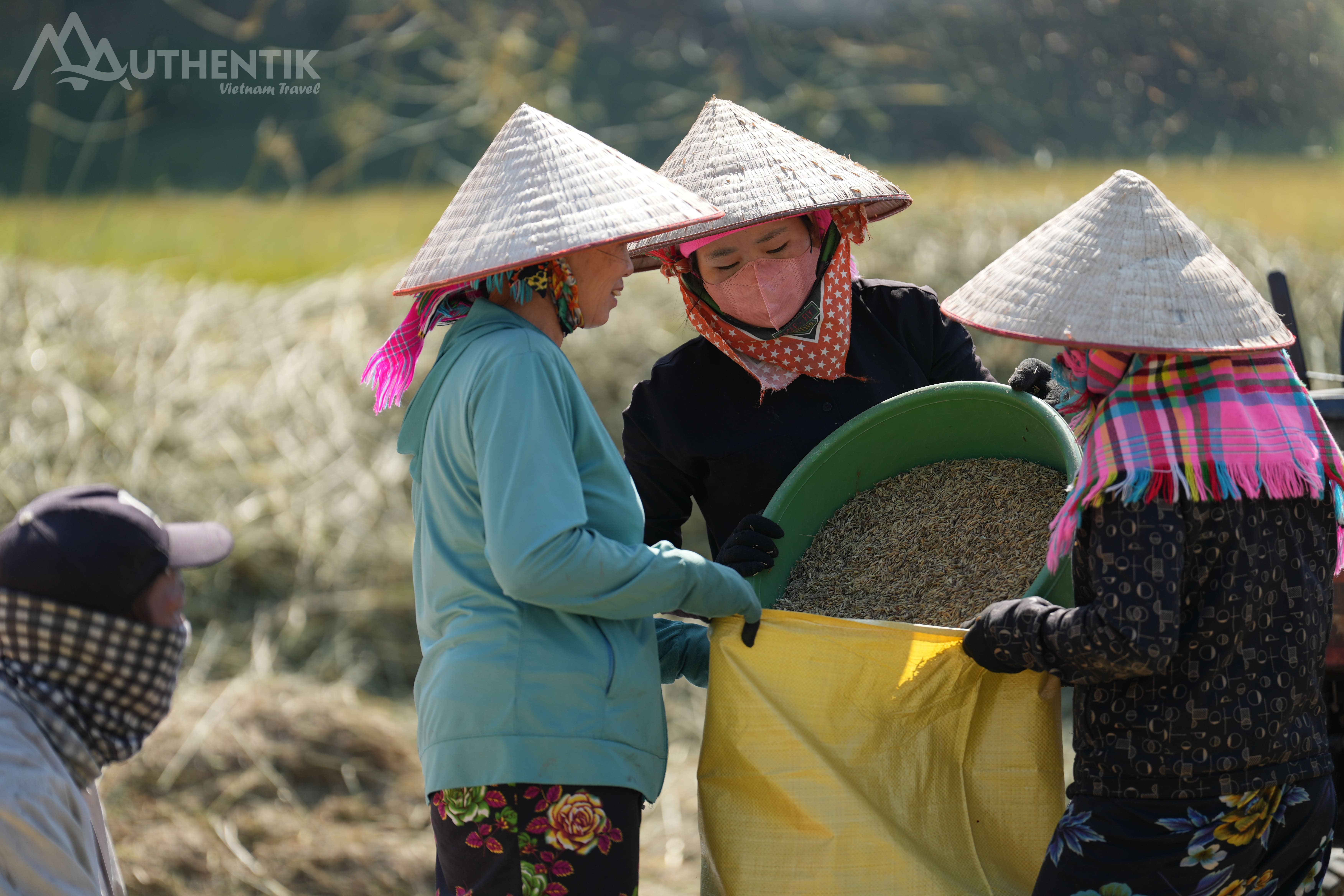 El encanto de Tú Lê también reside en sus aldeas auténticas, habitadas por las etnias Thái y Mông. Foto: Authentik Vietnam