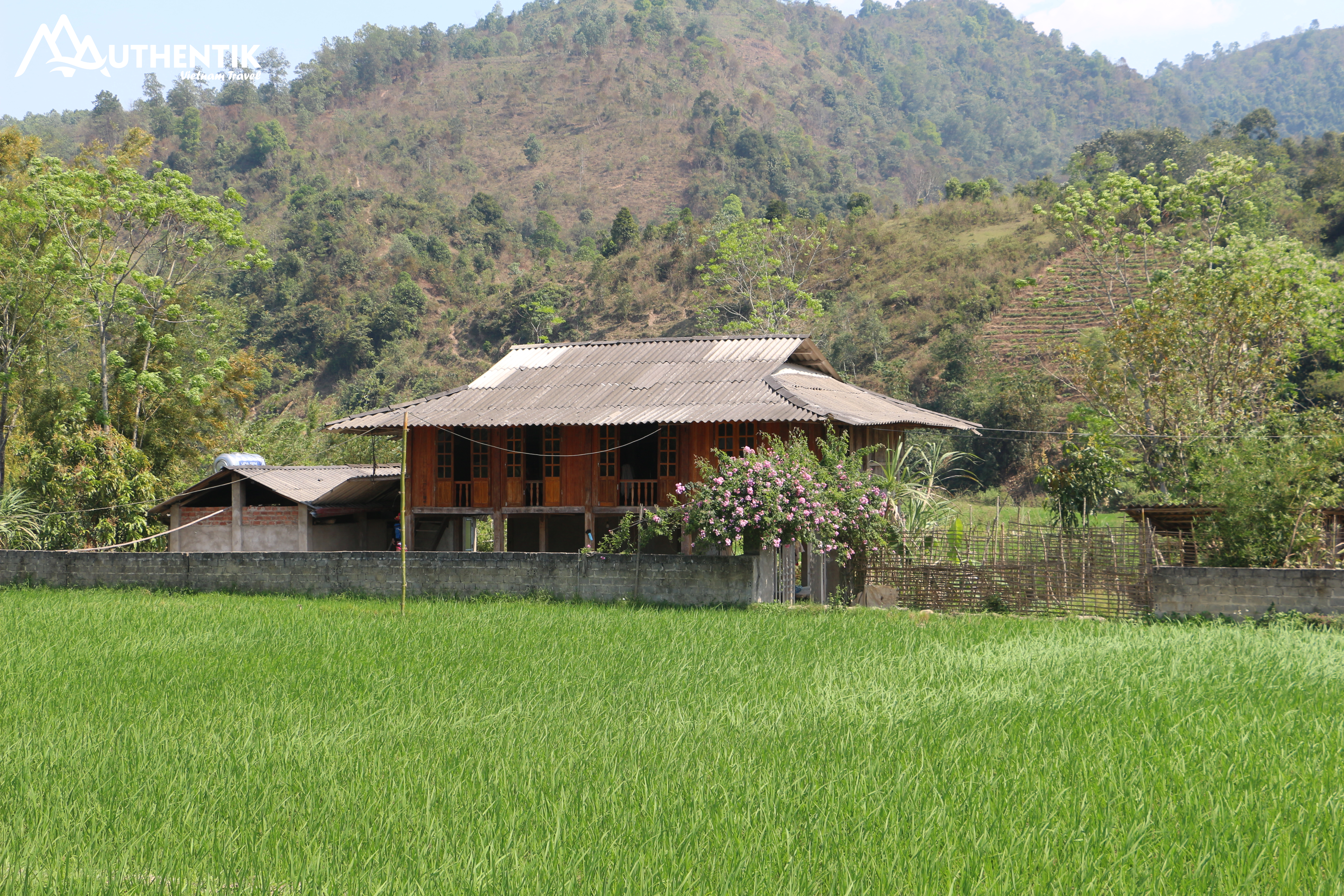 En Tú Lê, los arrozales cuentan la historia de un pueblo. Foto: Authentik Vietnam