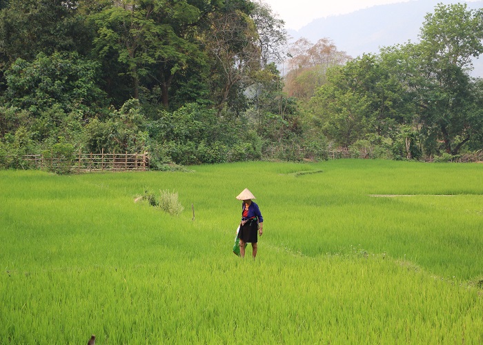 nord-ouest-du-vietnam-mai-chau-habitant