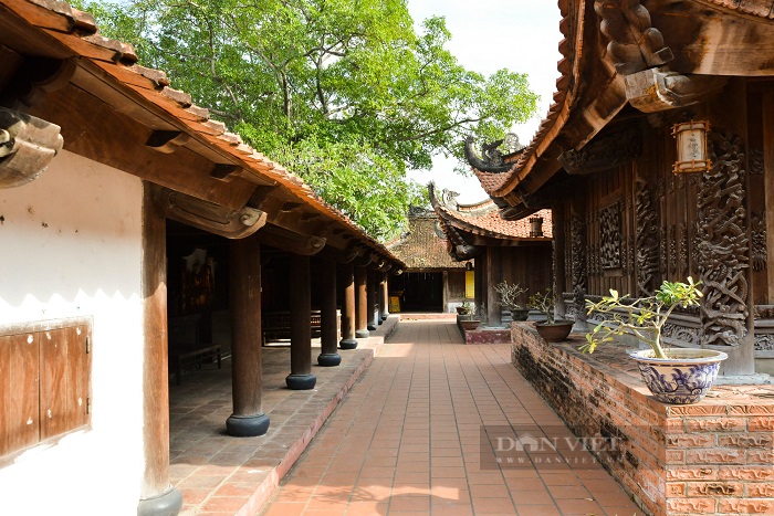 pagode Dau Hanoi cour