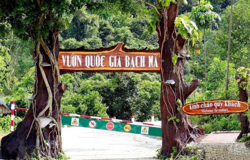 parc national de Bach Ma: Une aventure inoubliable au cœur du Vietnam 