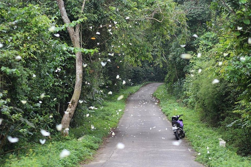 Parc nationale de Cuc Phuong - Ninh Binh à tout savoir