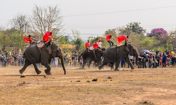 partir au vietnam apres course elephant