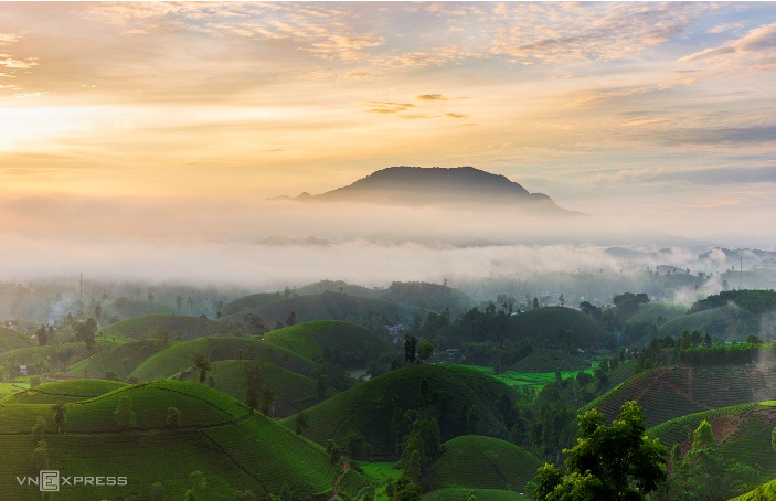 Les paysages spectaculaires du plateau de thé Long Coc, Phu Tho