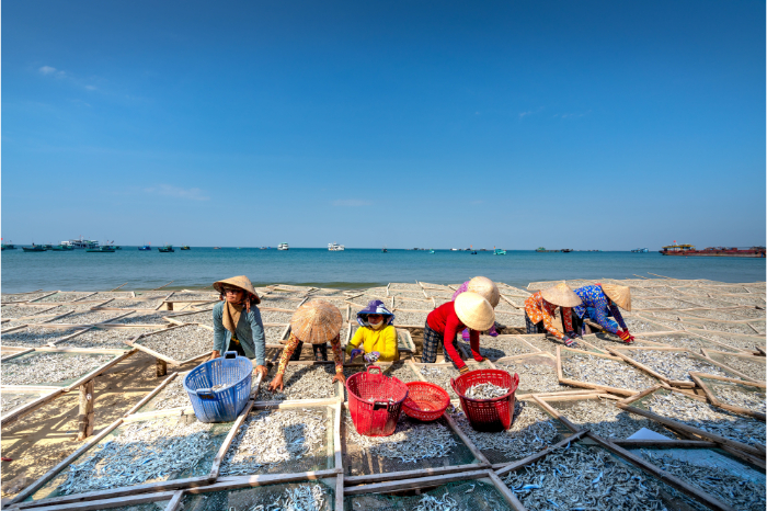 Sc&egrave;ne de vie quotidienne sur une plage de p&ecirc;cheurs au Vietnam.