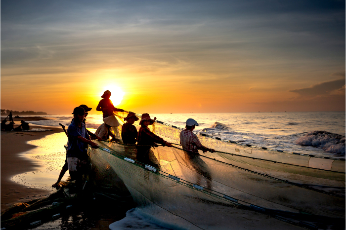 Le retour des p&ecirc;cheurs et la remont&eacute;e des filets au lever du jour.