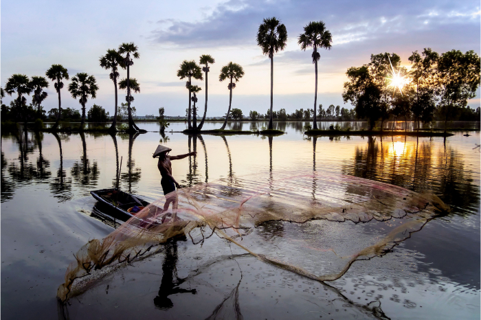 Dans les zones inond&eacute;es de Tinh Bien, la p&ecirc;che fait partie du quotidien des habitants.