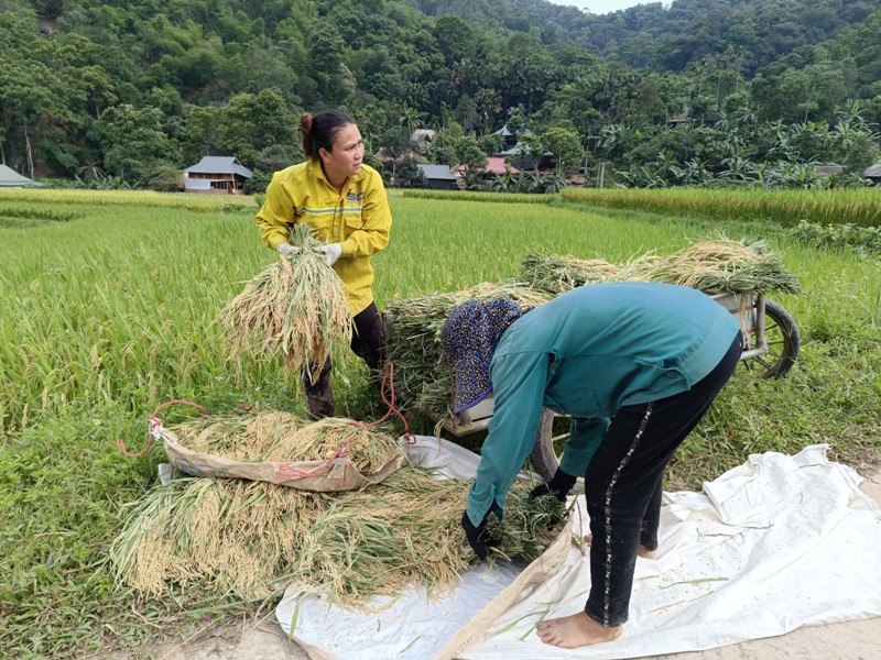 Pu Luong en saison de recolte de riz - quand partir à Mai Chau - Pu Luong