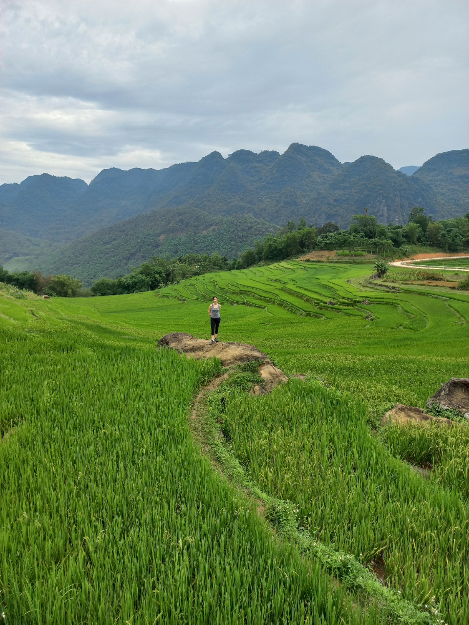 Magnifique boucle de 7 jours dans le nord du Vietnam