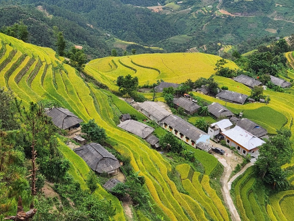 terrasse Hoang Su Phi 