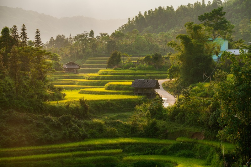 region de montagne du Nord du Vietnam