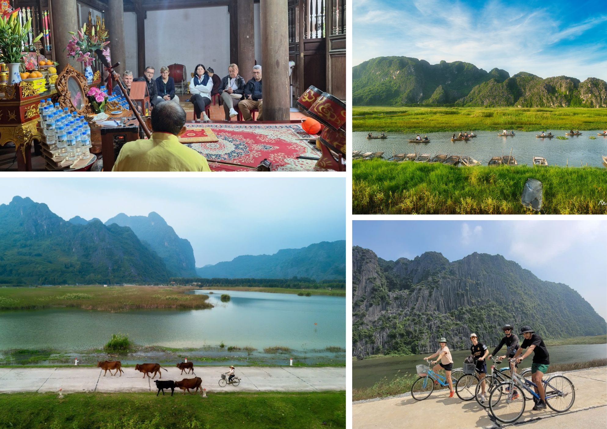 reserve naturelle de Van Long à Ninh BInh