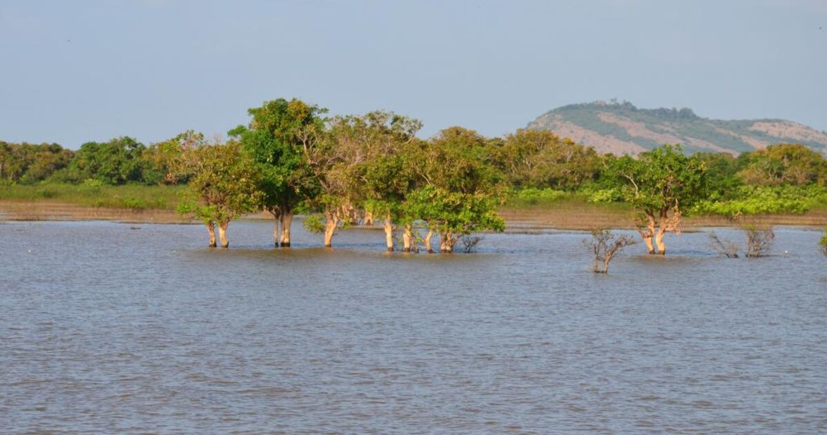  rivière Sangker-voyage-au-cambodge