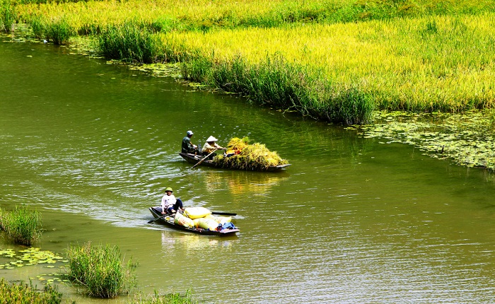 riviere Vietnam ngo dong riz