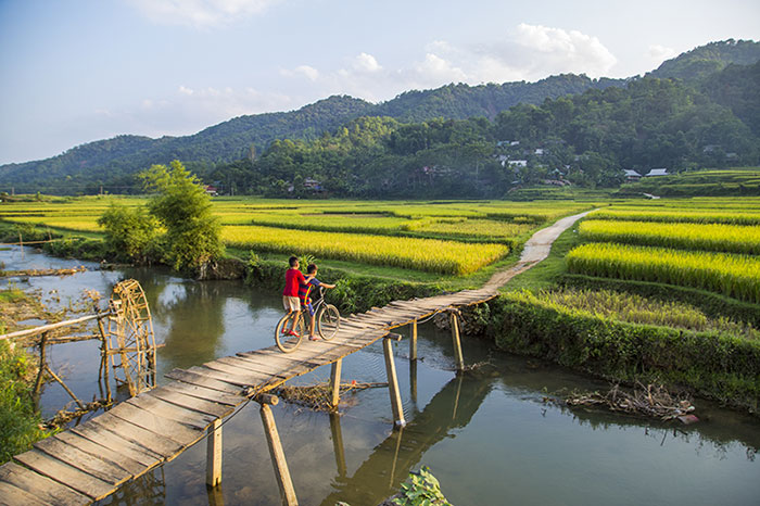 rizières terrasse vietnam Pu Luong vélo