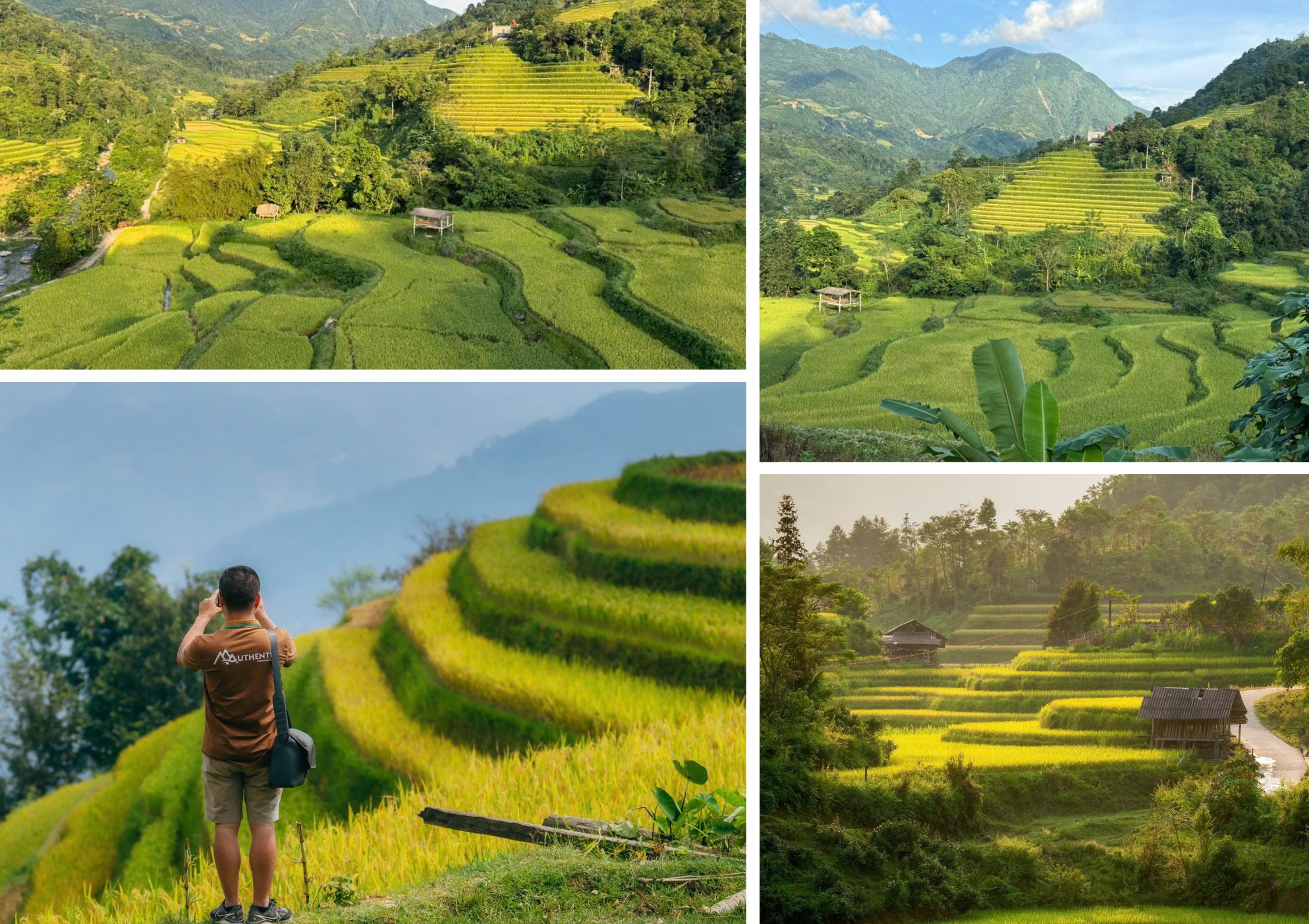 rizieres en terrasses à Hoang Su Phi - Ha GIang