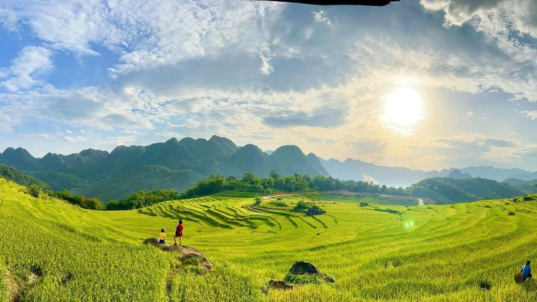 Rizières en terrasses dans le Nord du Vietnam