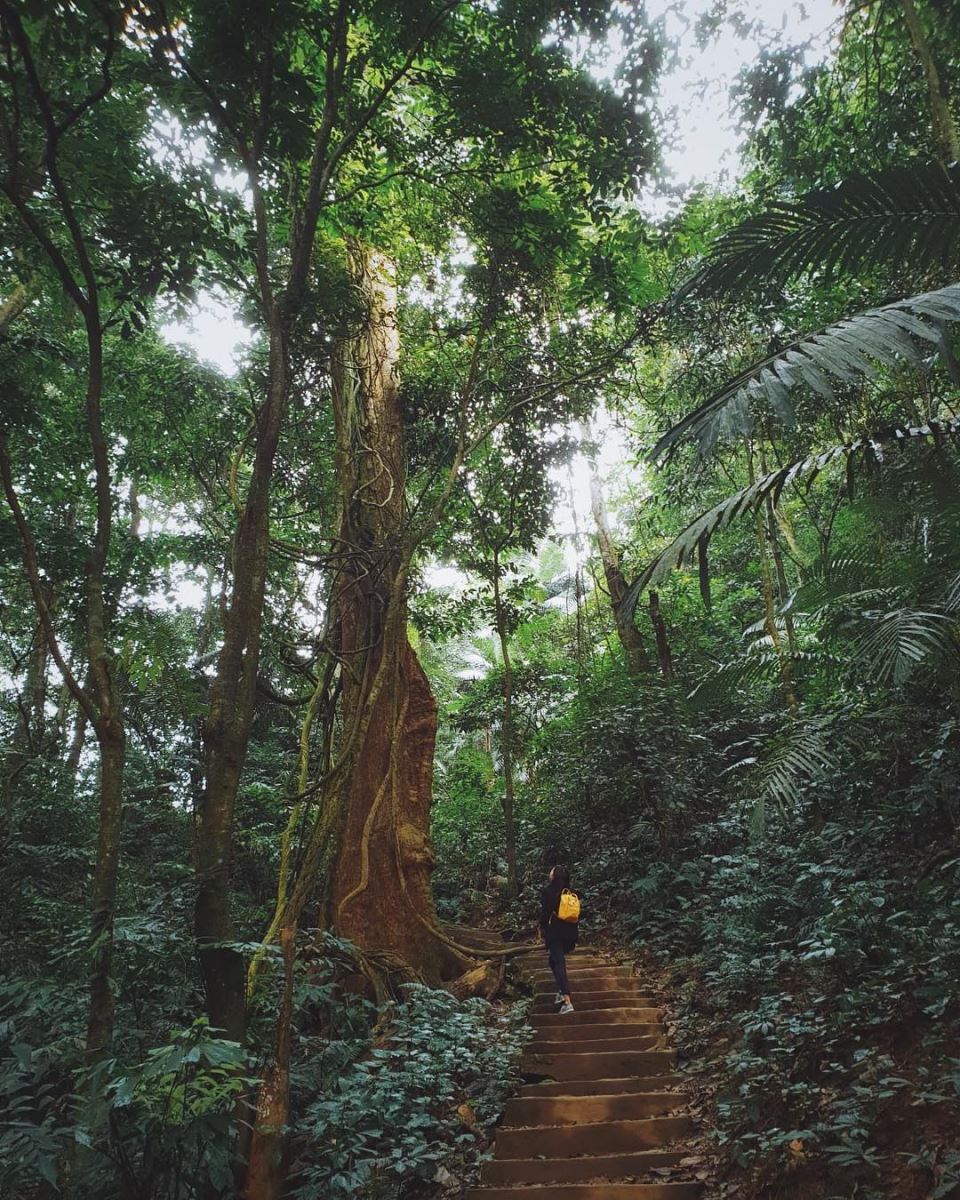 Forêts tropicales luxuriantes et de rivières sinueuses à Tràng An - Ninh Bình 