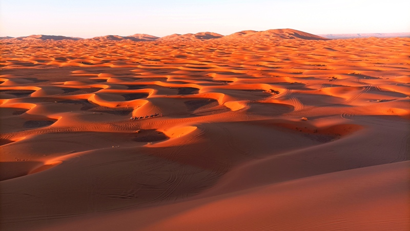 sahara au Maroc