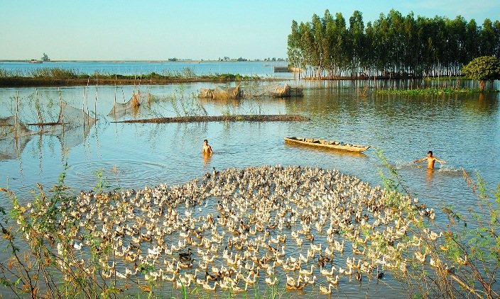 La saison des crues à An Giang, Delta du Mékong