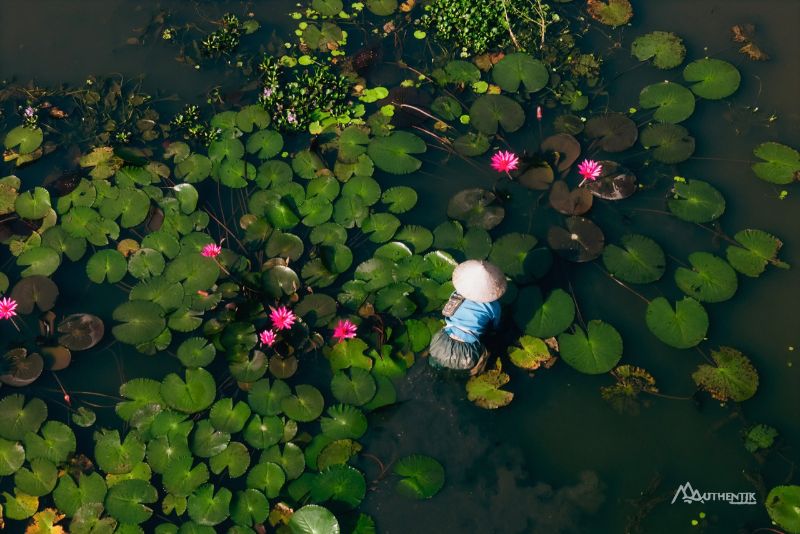 Tam Coc - NInh Binh