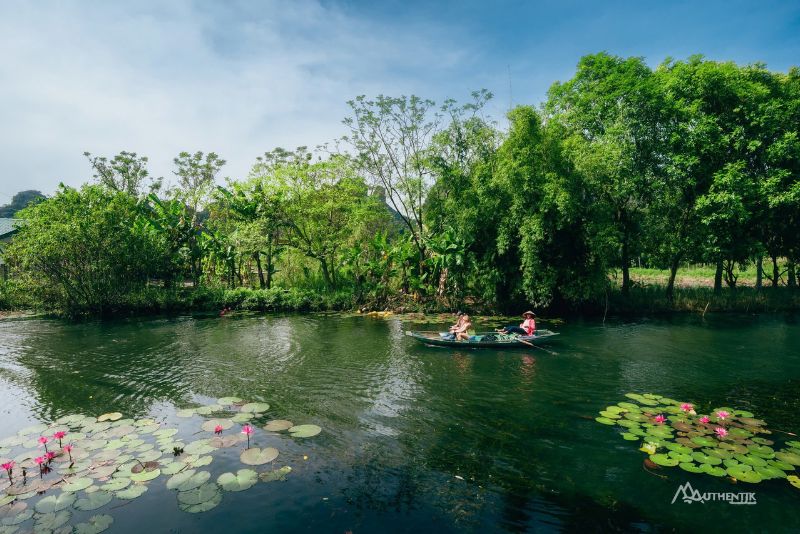 Tam Coc en saison de nénuphars