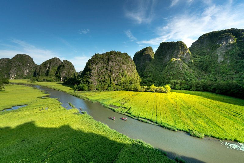 Tam Coc en saison de riz