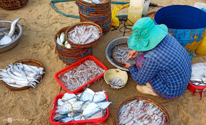 Tam Tien, le marché aux poissons le plus fréquenté de Quang Nam-cho ca Tam Tien Quang Nam